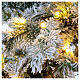 Albero Natale Pine 350 LED bianco caldo 180 cm floccato poly s2