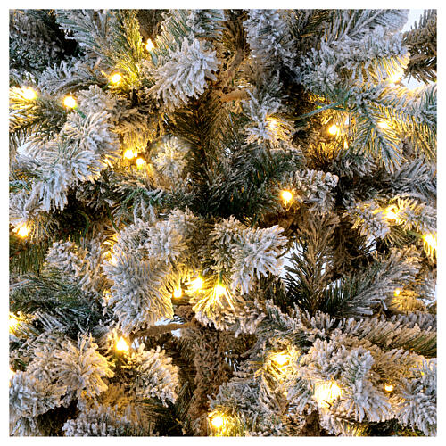 Albero Natale Pine LED 240 cm prelit 600 LED bianco caldo floccato poly 4