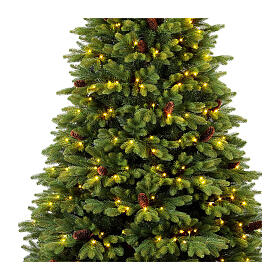 Sapin Noël Green Prelit 500 LEDs blanc chaud 210 cm pommes de pin amovibles poly