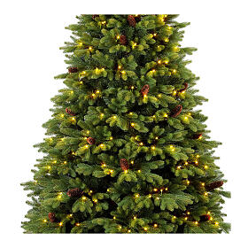 Sapin de Noël 240 cm Green Prelit 650 LEDs blanc chaud pommes de pin amovibles poly