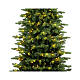 Mississippi Prelit Christmas tree, 150 cm, 200 warm white LEDs s2