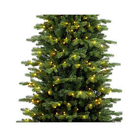 Árvore de Natal Mississippi Prelit 150 cm 200 LEDs branco quente PE