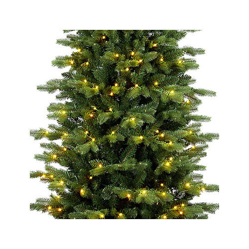 Mississippi Prelit Christmas tree, green poly, 180 cm, 300 warm white LEDs 2