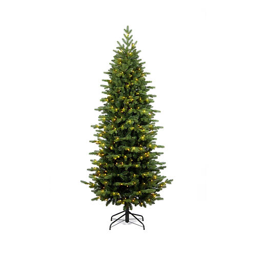 Albero Natale Mississippi 180 cm verde 300 LED bianco caldo poly 1
