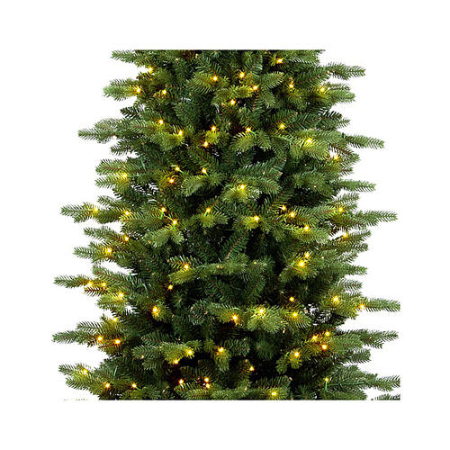 Mississippi Prelit Christmas tree, 400 warm white LEDs, 210 cm 2