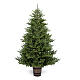 Albero Natale National Po 180 cm Poly Feel Real verde con vaso s1