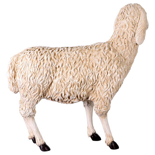 Pecora testa rivolta verso sinistra presepe 160 cm Lando Landi 6