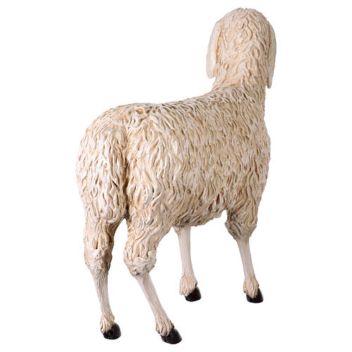 Pecora testa rivolta verso sinistra presepe 160 cm Lando Landi 7