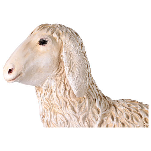 Sheep head turned slightly to the left nativity scene 160 cm Lando Landi 2
