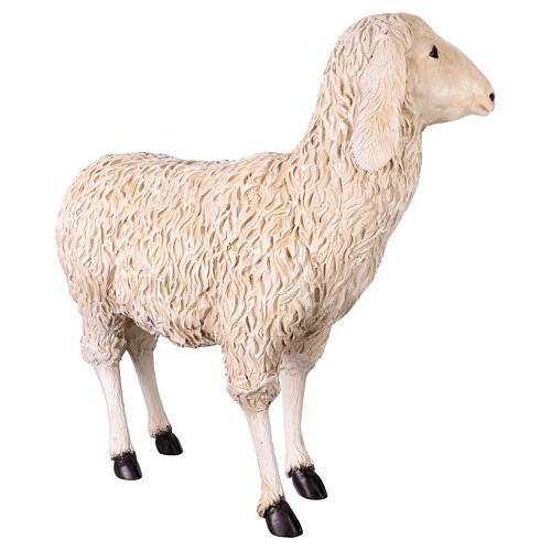 Sheep head turned slightly to the left nativity scene 160 cm Lando Landi 5