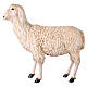 Sheep head turned slightly to the left nativity scene 160 cm Lando Landi s1