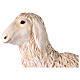 Sheep head turned slightly to the left nativity scene 160 cm Lando Landi s2