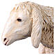 Liegendes Schaf aus Resin für 80-100 cm Krippe, Lando Landi s4