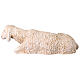 Liegendes Schaf aus Resin für 80-100 cm Krippe, Lando Landi s6