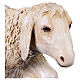 Lying sheep, resin statue for 160 cm Lando Landi's Nativity Scene s2