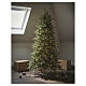 Weihnachtsbaum Tanelin – 210 cm, Slim-Modell, mit 2 910 LED, Poly, Winter Woodland s2