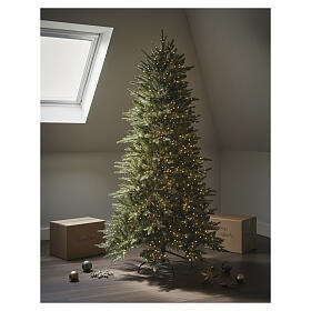 Tanelin 83-inch prelit Christmas tree with 2910 LEDs, slim design, poly, Winter Woodland