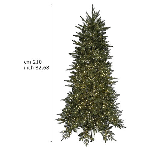 Christmas Tree Tanelin 210cm prelit 2910 LEDs slim Poly Winter Woodland 3