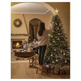 Christmas Tree 270cm Pre-lit 1048 Warm White Multicolor LED Litzner Green Winter Woodland