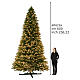 Sapin de Noël Sherwood Deluxe Triumph Tree 3728 LEDs 600 cm intérieur poly PVC s3