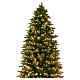Sapin de Noël Sherwood Deluxe Triumph Tree 3728 LEDs 600 cm intérieur poly PVC s6