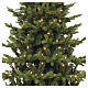 Albero di Natale Triumph tree sherwood deluxe 3728 LED 600 cm int poly PVC s3