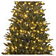 Albero Natale POP-UP verde 210 cm 300 LED bianco caldo slim Poly mix mod. Pesci s7
