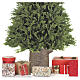 Base albero Natale 150-210 cm tronco dipinto due rami 30x20 cm s4