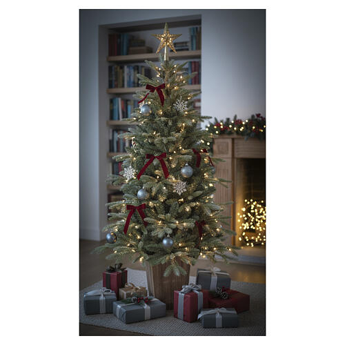 Silver-green small pine tree in a wooden pot, 60 in, mixed PE 4