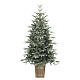 Silver-Green Christmas Tree in Mixed Wood Base PE s1