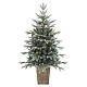 Albero di Natale pinetto verde argentato 120 cm vaso quadrato s1