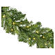 Guirlande Grandis Micro LED 60 LEDs blanc chaud 180 cm s2
