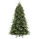 Albero di Natale Barth verde 270 cm Poly Feel Real s1