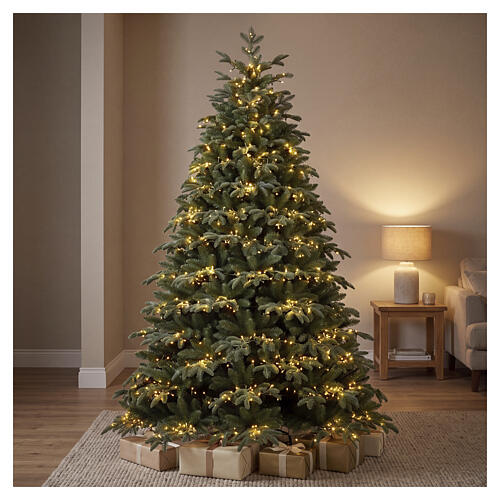 Künstlicher Weihnachtsbaum Venice mit integrierter Beleuchtung, 5000 warmweiße LEDs, 180 cm Poly Feel Real 2