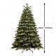 Albero di Natale Venice prelit 5000 led bianco caldo 180 cm Poly Feel Real s3