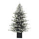 Albero di Natale Chalet floccato con 340 led bianco caldo 180 cm Poly Feel Real s1
