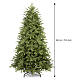 Albero di Natale Rio verde in Poly Feel Real 180 cm s3