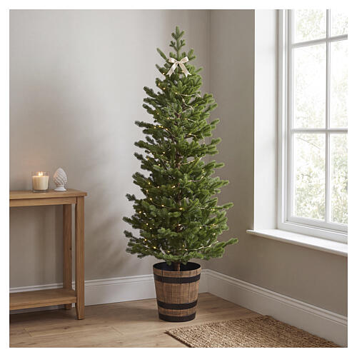 Albero di Natale Pinetto Full PE con vaso tondo 150 cm 2