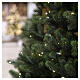 Albero di Natale Kentucky Deluxe con luci 243 cm PE PVC 1050 led bianco caldo s5