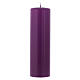 Advent candles 8x2 inc, 3 purple 1 rose s2