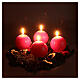 Complete Advent wreath kit with candles 10 cm red flowers s5