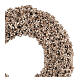 Wreath of champagne-coloured dried flowers 25 cm s3