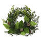 Ghirlanda natalizia decorativa con fogliame verde e pigne 10x30 cm s1