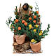 Gärtner mit Orangen und Zitronen 10cm bewegliche Krippenfigur s1