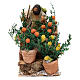 Ogrodnik z pomarańczami i cytrynami do szopki 10 cm s1