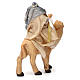 Rei mago branco sentado no camelo para presépio napolitano com figuras de 6 cm de altura média s3