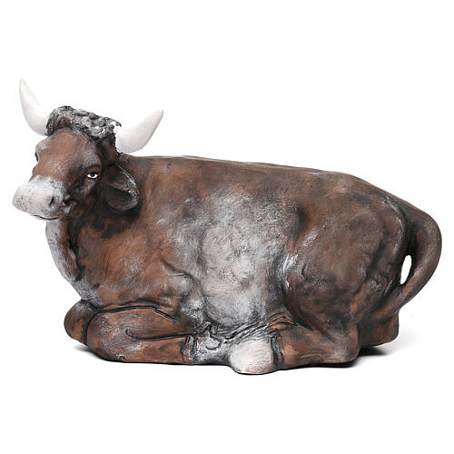 Bue in terracotta per presepe napoletano stile 700 di 30 cm 1