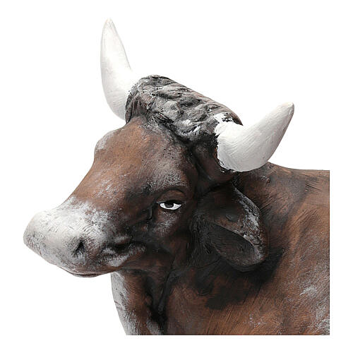 Ox in Terracotta for Neapolitan nativity style 700 of 30 cm 2
