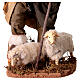 Pecoraio con due pecore per presepe Napoli stile '700 di 30 cm s4