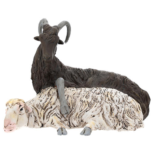 Coppia caprone e pecora per presepe Napoli stile 700 di 35 cm 1